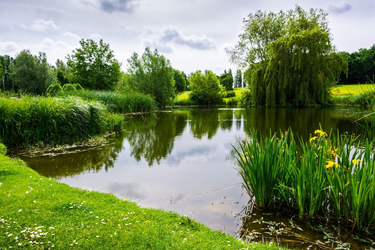 green space in Milton Keynes