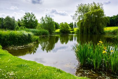 green space in Milton Keynes