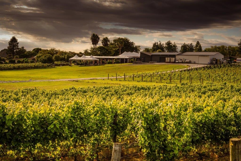 Vilagrad winery, Hamilton, New Zealand