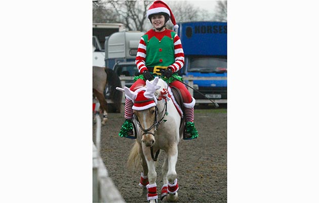Molly Heaps&rsquo; Cheescake getting into the festive spirit
