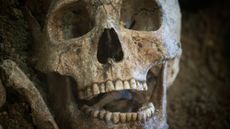 Analysis of teeth has revealed Native Americans did not directly descend from the Jomon people in ancient Japan.