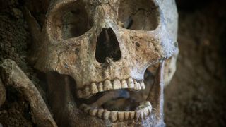 Analysis of teeth has revealed Native Americans did not directly descend from the Jomon people in ancient Japan.