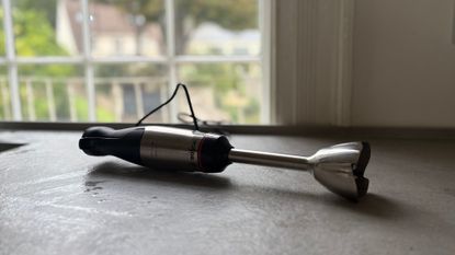Testing the Bosch Hand Blender