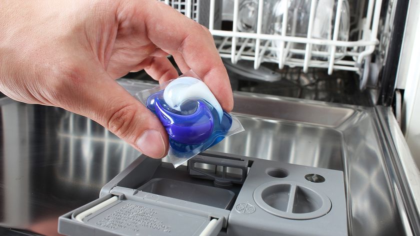 Dishwasher detergent capsule