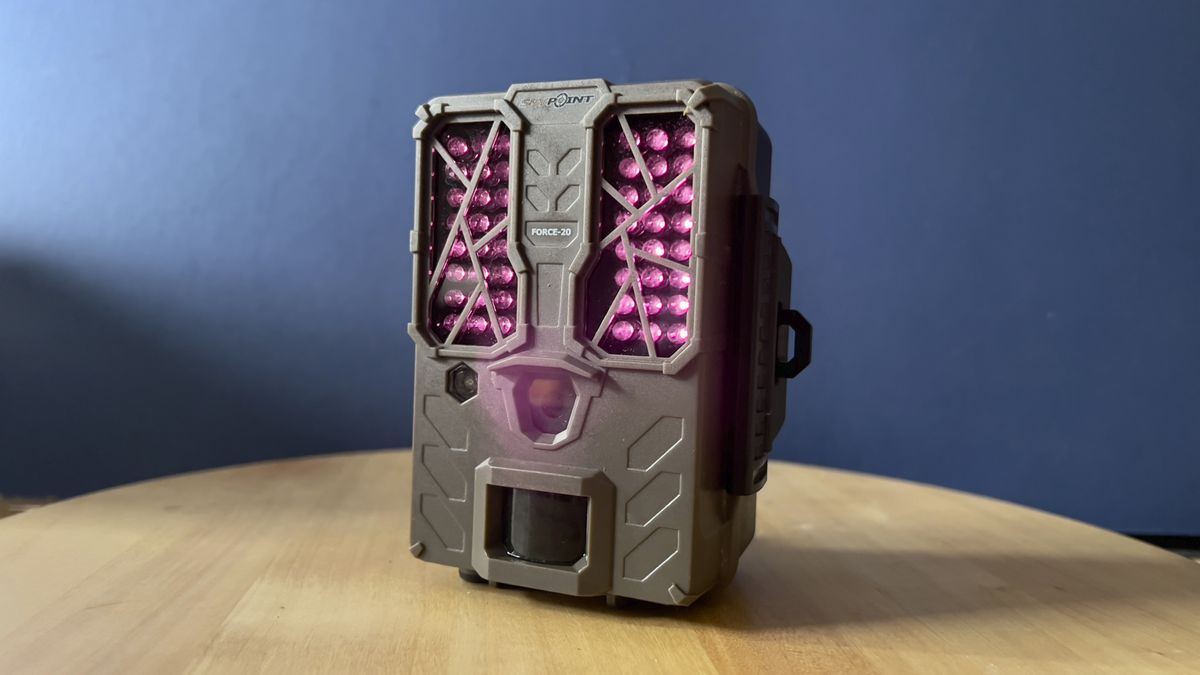 SPYPOINT FLEX-DARK Wildkamera Twin Pack - Foto Erhardt