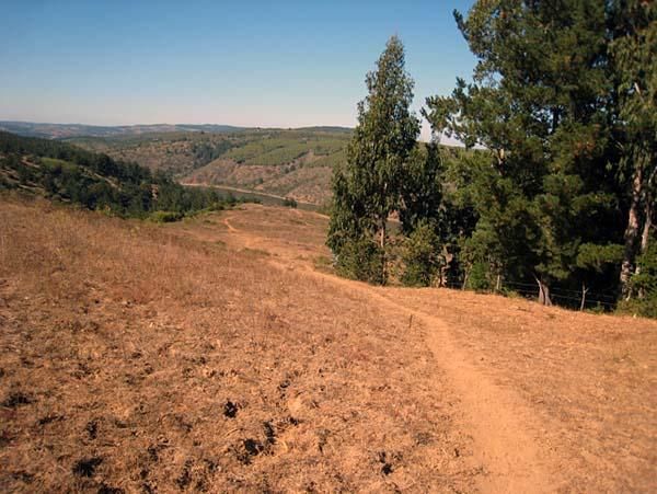 Dry, Chilean singletrack.
