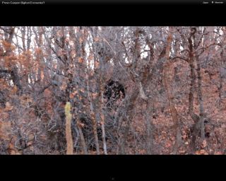 A screengrab from the video of the Utah "blobsquatch."