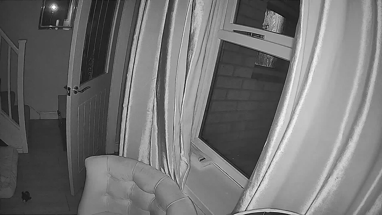 SpotCam Mibo pet camera review