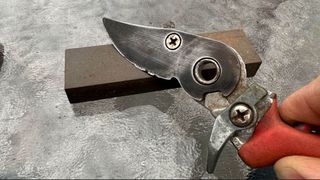 Pruning shears being sharpened on a whetstone