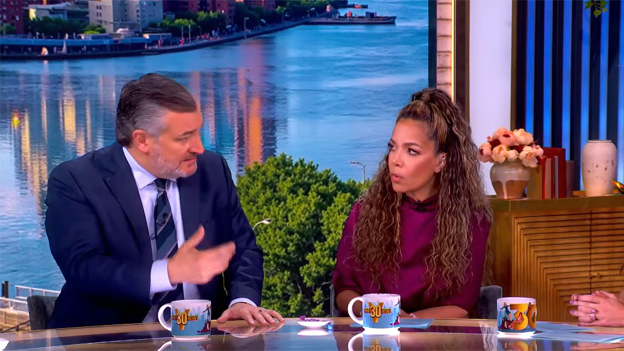 Ted Cruz looks at Sunni Hostin as he explains a viewpoint on ABC's The View. He is in a suit and she has on a plum fit. 