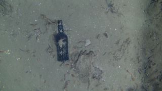 One of nine glass bottles observed at the site of the centuries-old shipwreck off the North Carolina coast.