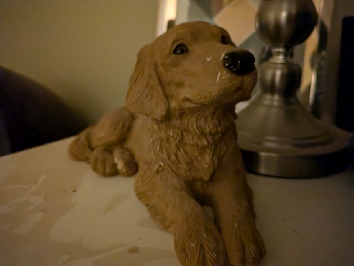 Google Pixel 8a low light sample.