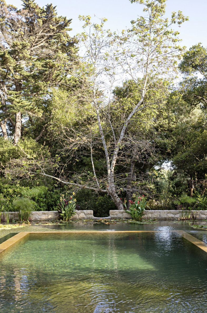 A swimming pool with a clear regeneration zone