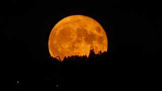 Full moon rising behind a forest.