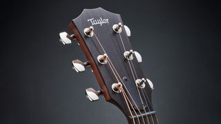 Taylor Guitars headstock