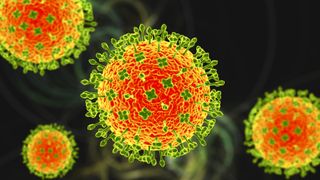 A multi-colored illustration of particles of Nipah virus against a black background. The particles are orange, green and yellow. 