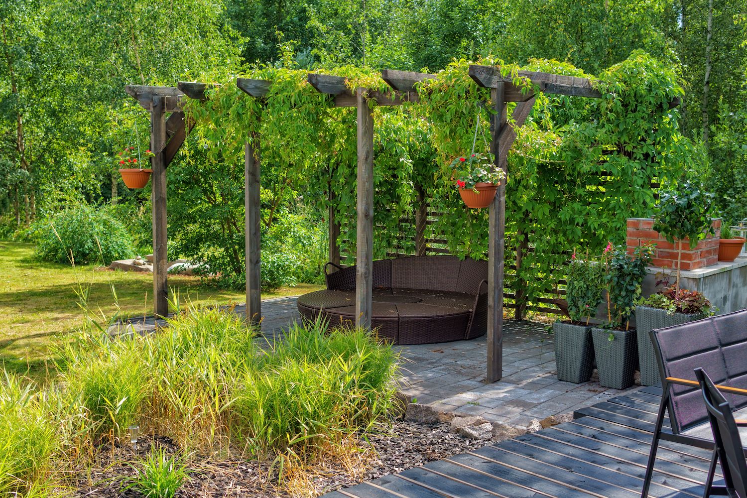 How to Protect Plants From Wind | Livingetc