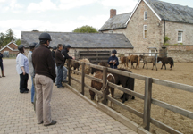 Welsh-course-Bransby-HR.jpg