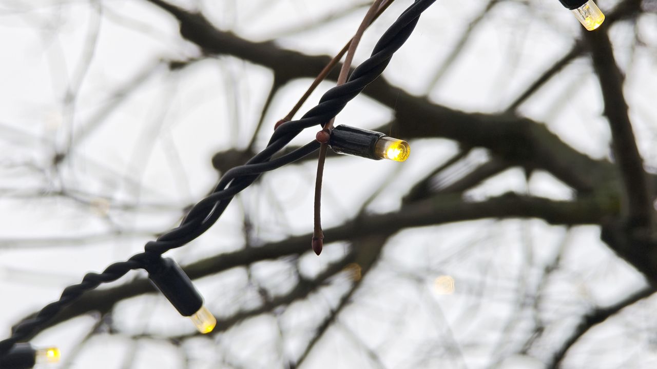 Xiaomi 15 Ultra review sample camera image