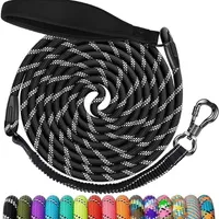 NTR Nylon Dog Leash at Amazon