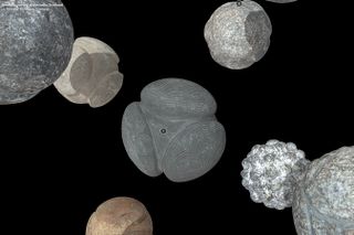 The 3D models of the carved balls of stone, including the spiral-carved Towie ball (center), are now posted online.