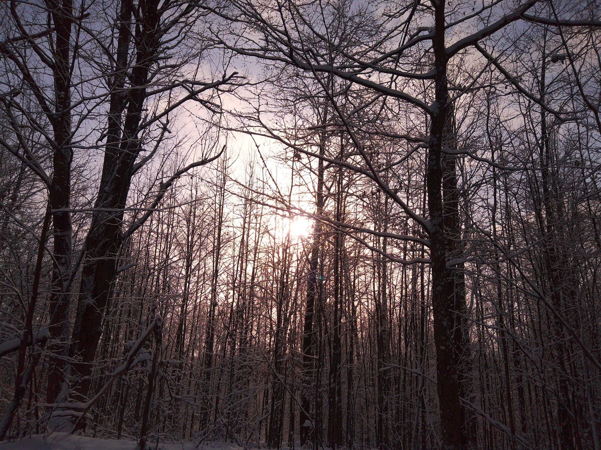 A sample image taken with the Camp Snap CS-Pro