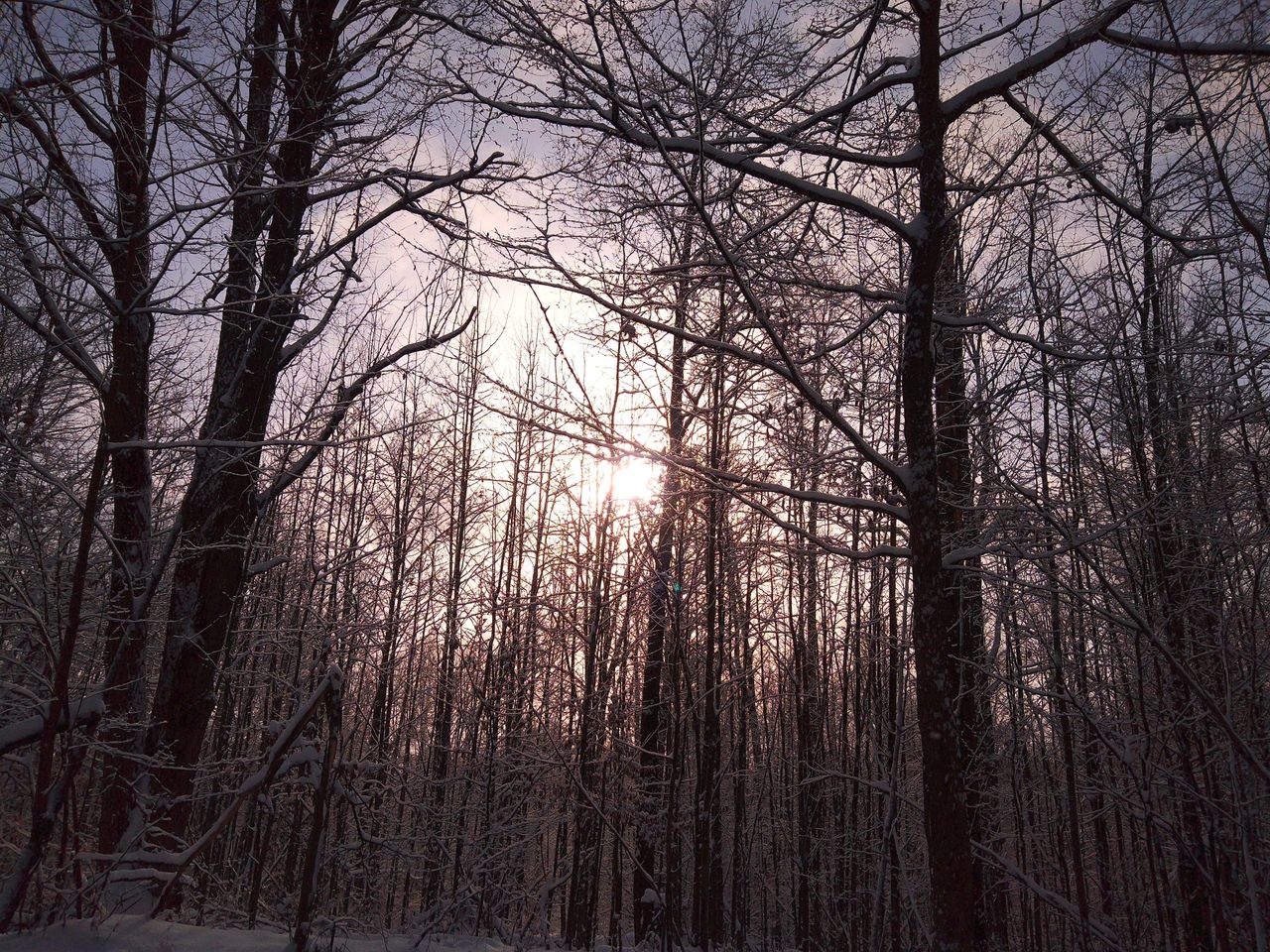 A sample image taken with the Camp Snap CS-Pro