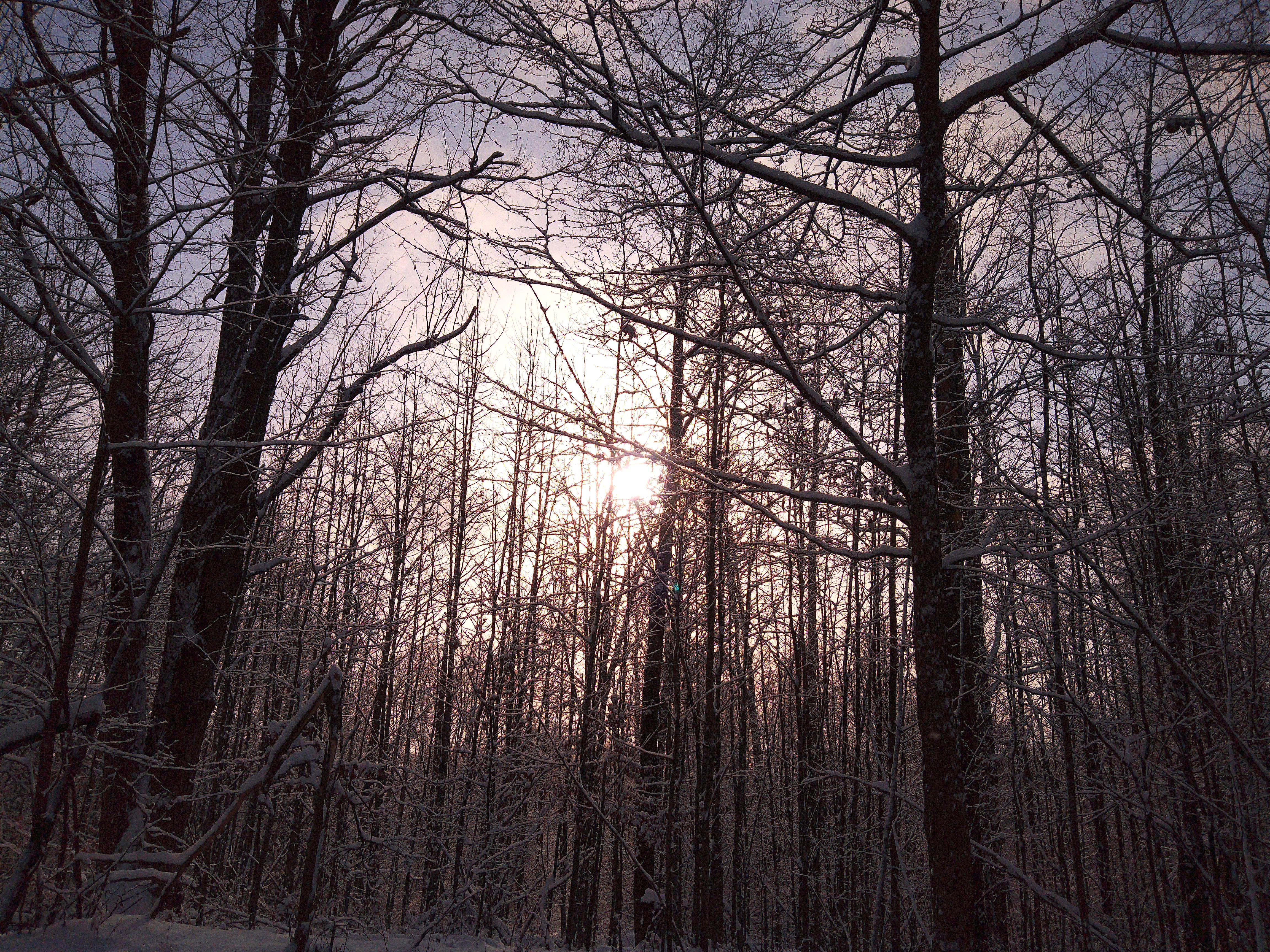 A sample image taken with the Camp Snap CS-Pro