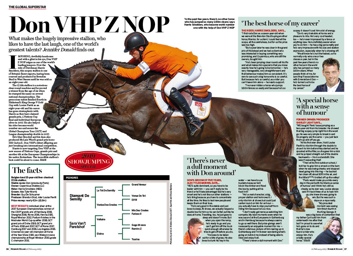 FT 2pp SJ Special Horse profile