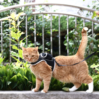 Stray x Travel Cat Harness &amp; Leash ($40)