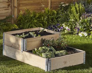 Verve Small Raised bed kit 0.48m², available from B&Q