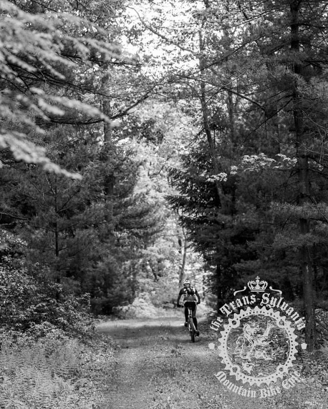 A rider on the final road section of the stage.