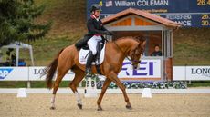 Hanne Wind Ramsgaard at the eventing world championships 2022