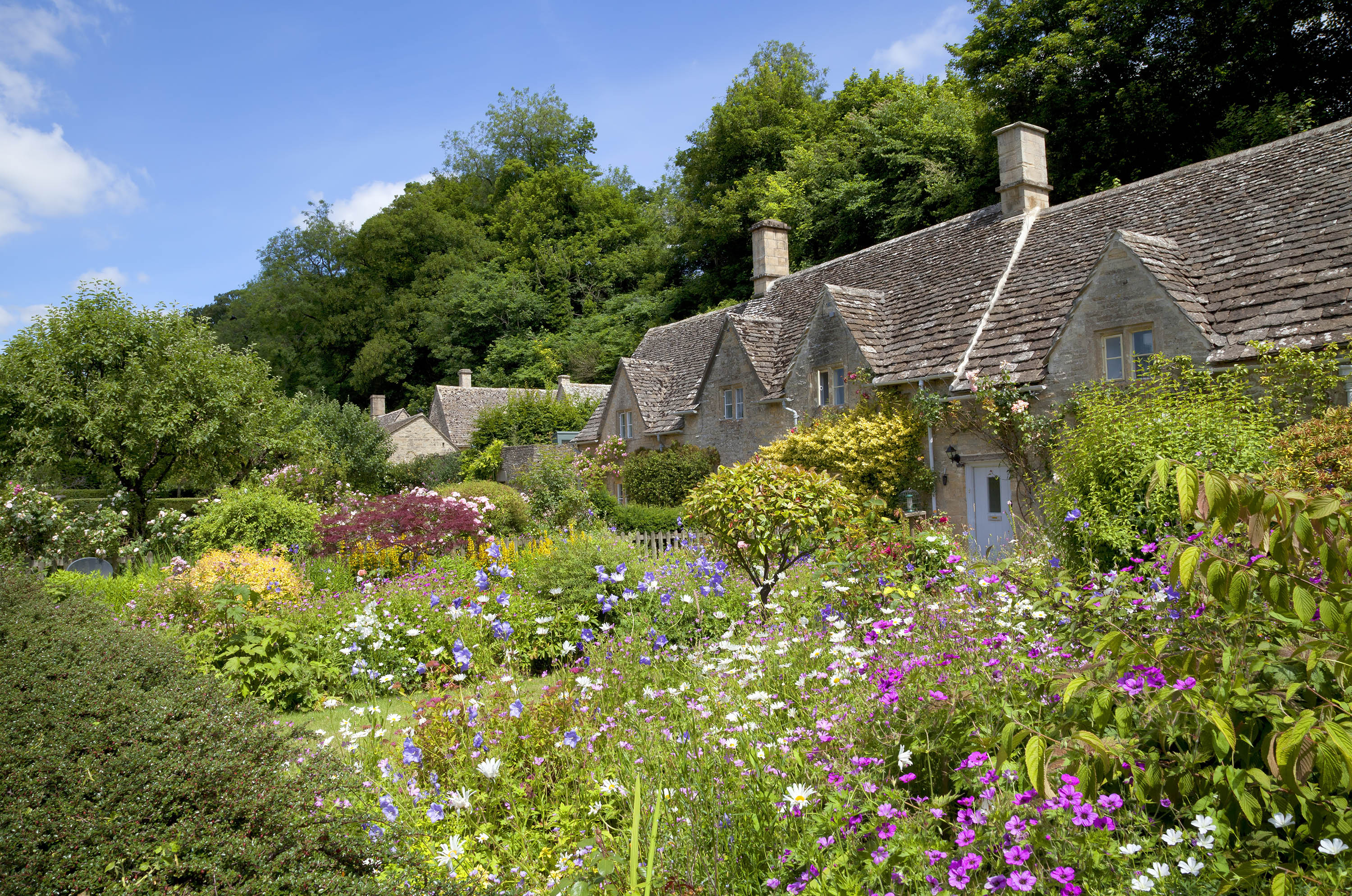 cottage garden front borders