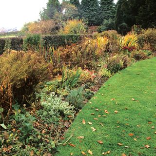 Autumnal garden with shrubs, plants and fallen leaves on a green lawn