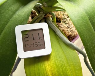 Meter reading temperature and humidity levels