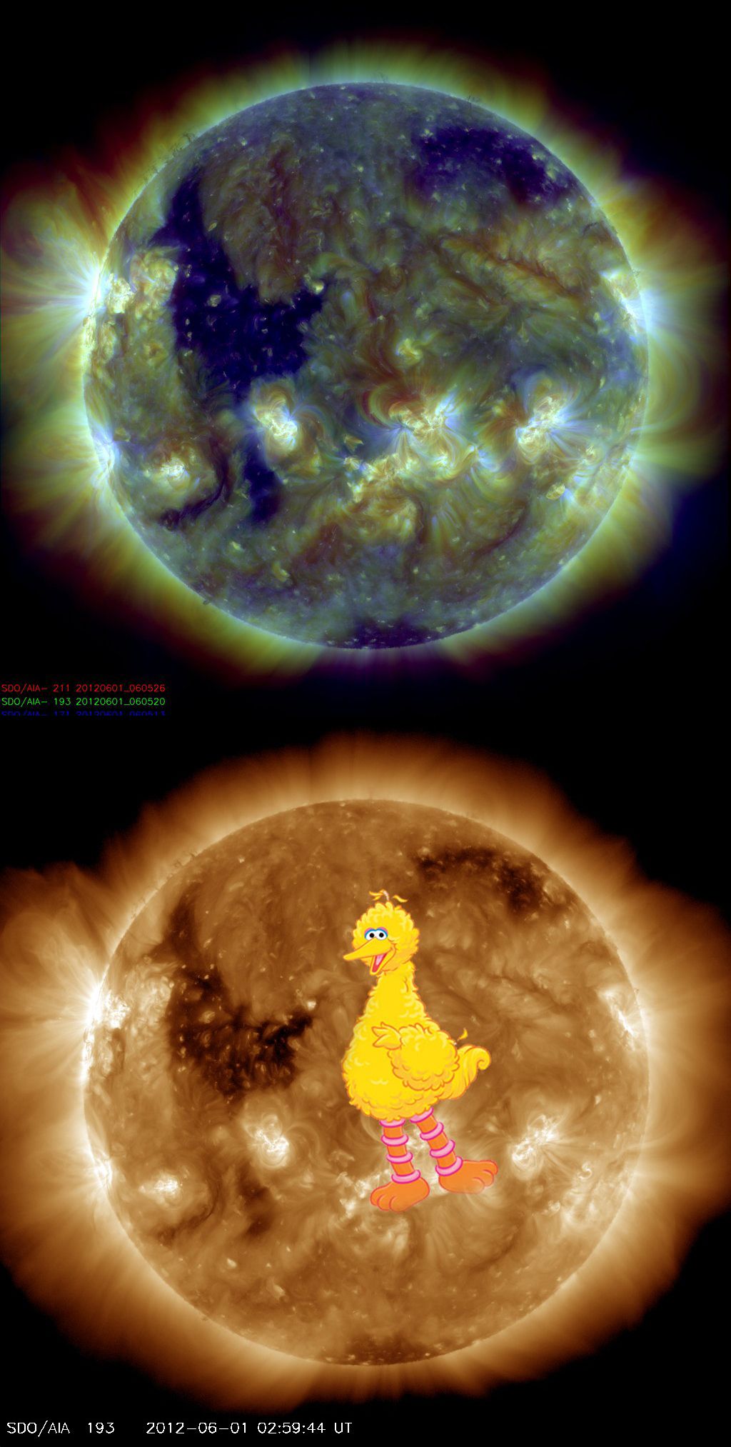 &#039;Big Bird&#039; on the Sun 