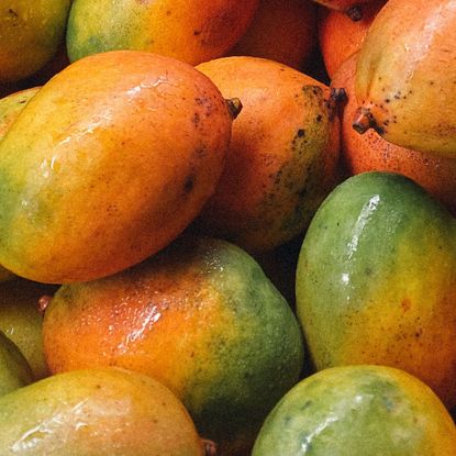 5-minute gut health hacks