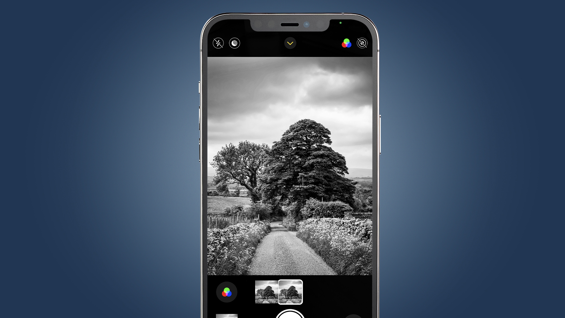 An iPhone showing the capture of a tree in black and white