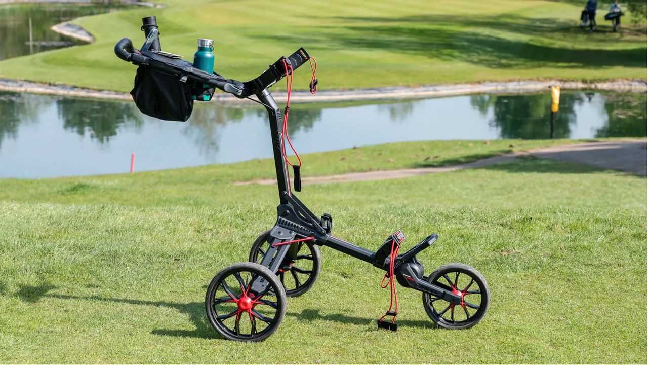 Get 20% Off This Editors Choice Push Cart During Amazon Prime Day