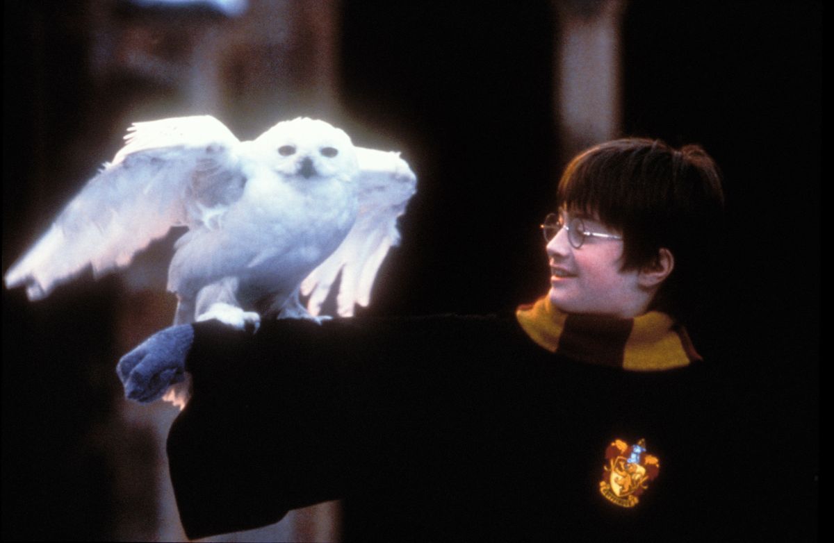 Daniel Radcliffe as Harry Potter in The Sorcerer&#039;s Stone/The Philosopher&#039;s Stone