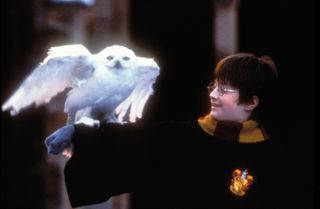Daniel Radcliffe as Harry Potter in The Sorcerer's Stone/The Philosopher's Stone