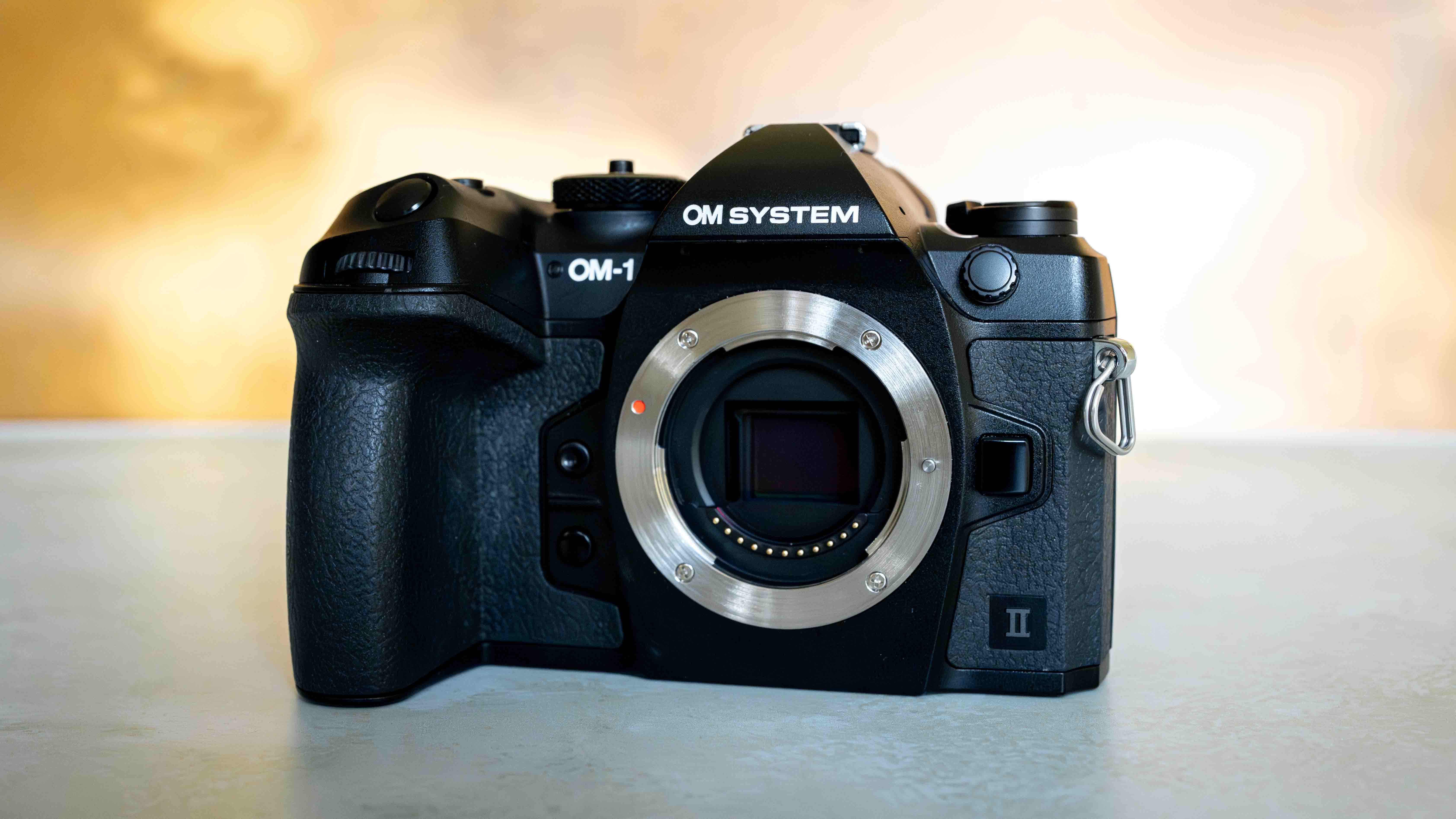 OM System OM-1 Mark II review — the best Micro Four-Thirds camera ever?