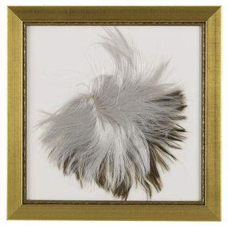 Gold photo frame with fur inside
