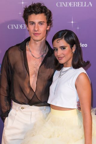 Camila Cabello and Shawn Mendes on the red carpet