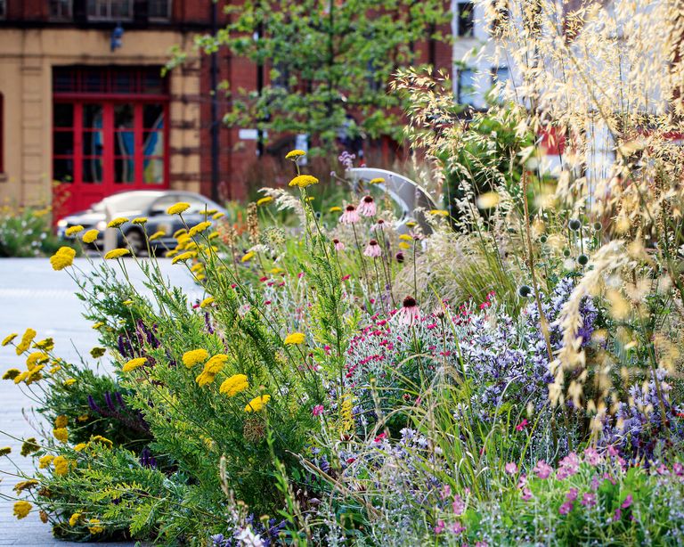 Dry Gardens Explained - 10 Expert Tips For A Lush Landscape 