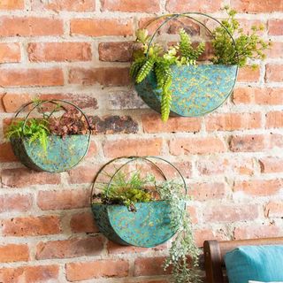 Distressed circular wall planters against a brick wall