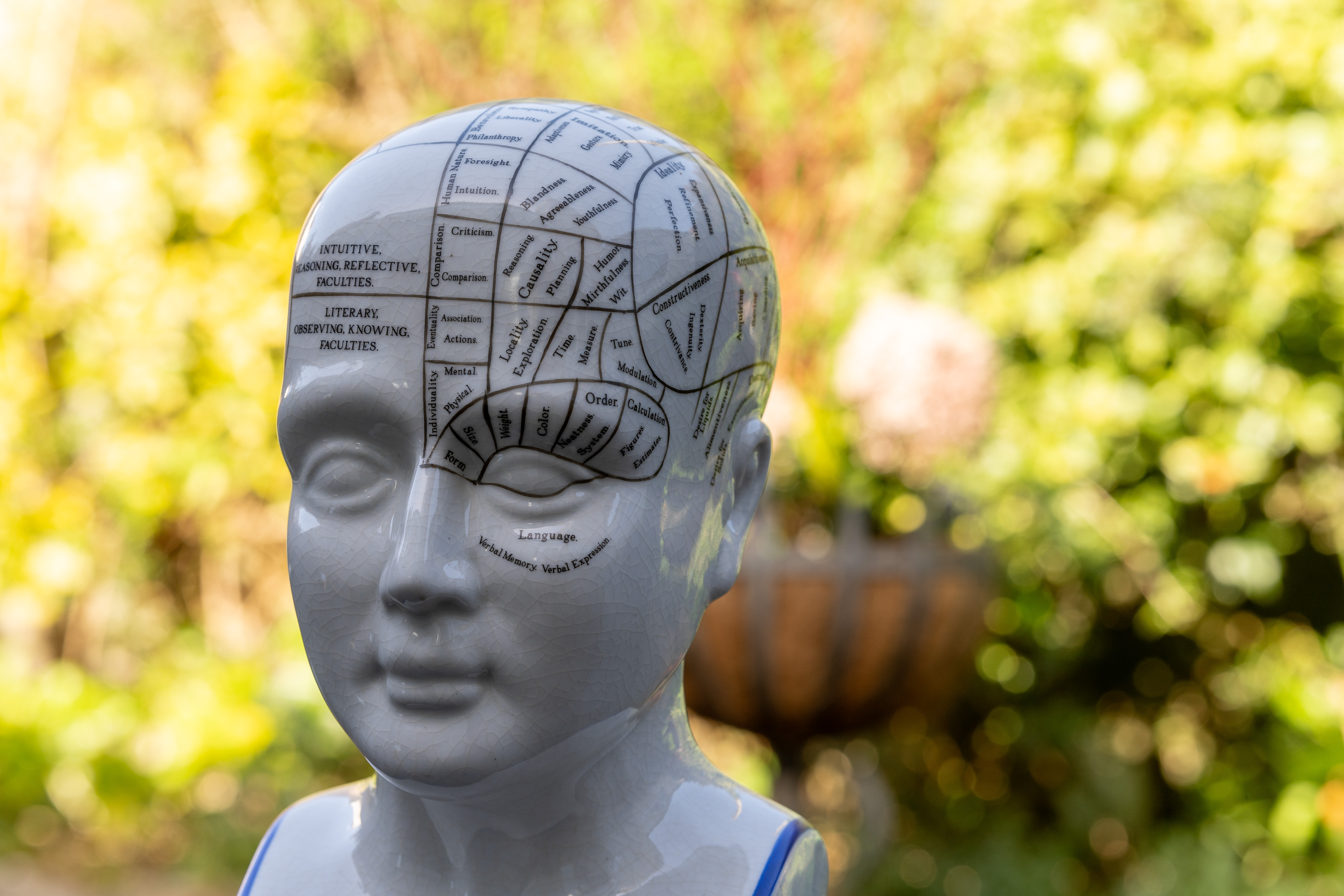 Meike AF 85mm f/1.8 SE II sample image