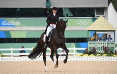Anna Kasprzak Denmark dressage rider
