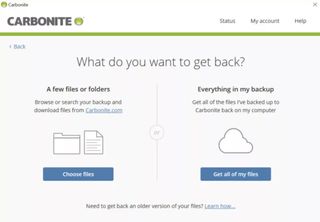Carbonite's webpage offering backup options